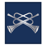 Regional Musician Silver Badge