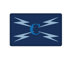 Basic Radio Operator and Cyber Awareness Blue Badge