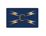 Cyber Foundation Bronze Badge