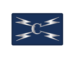 Cyber Specialist Silver Badge